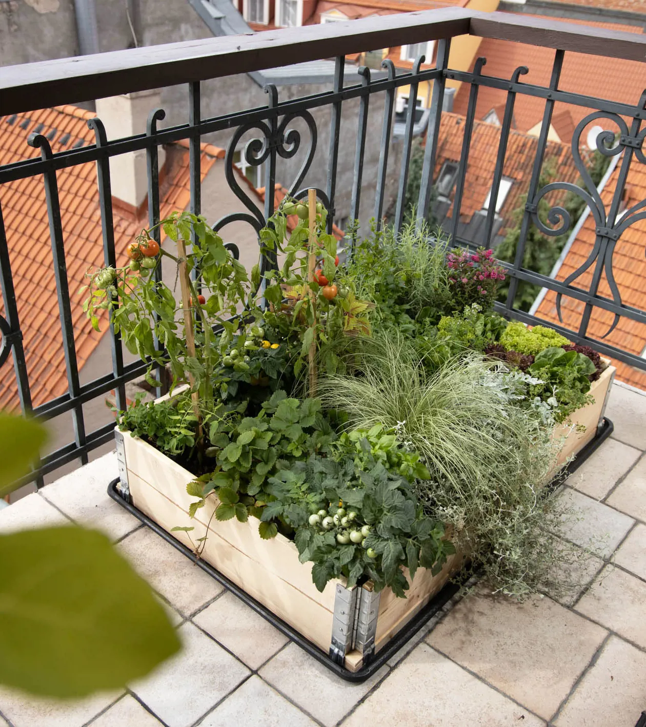 HuertoBox planter on a city balcony