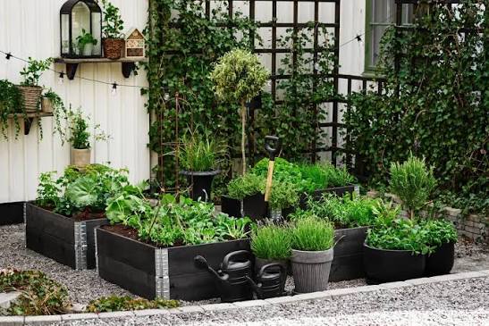 HuertoBox dark finish with vegetables