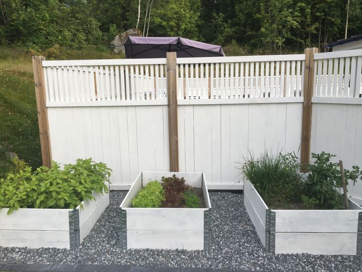 HuertoBox in white with herbs
